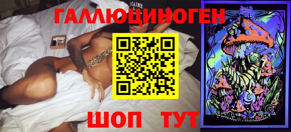 Галлюциногенные грибы Psilocybine cubensis Белая Калитва
